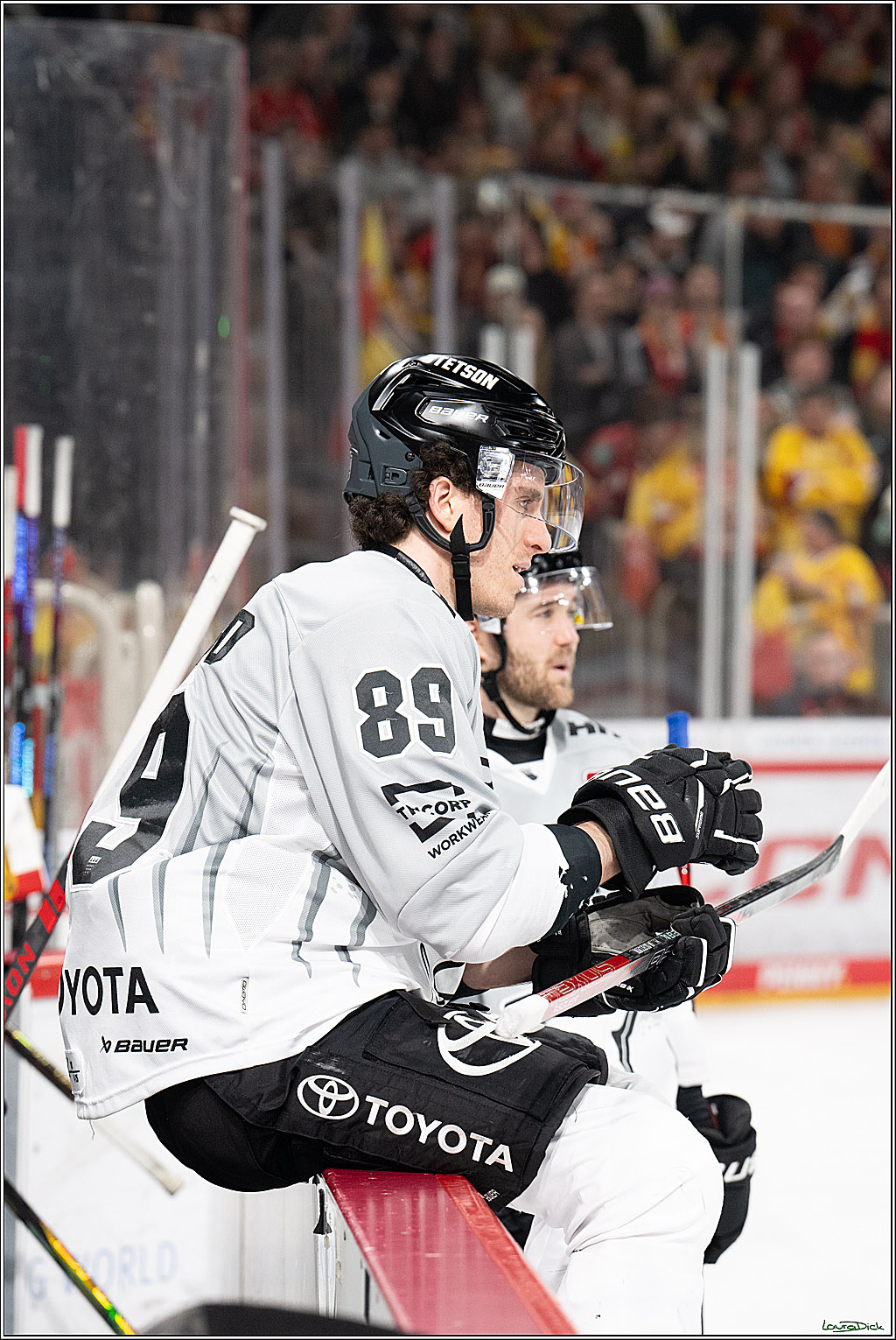 PENNY DEL; Duesseldorfer EG- Koelner Haie; Duesseldorf, 24.01.2025